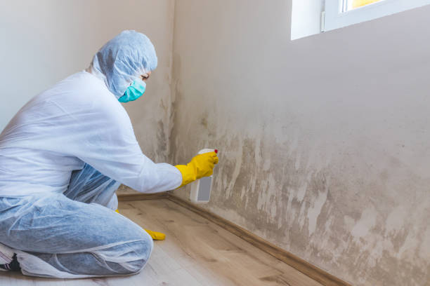 Commercial Mold Remediation assessment for commercial property in Yale